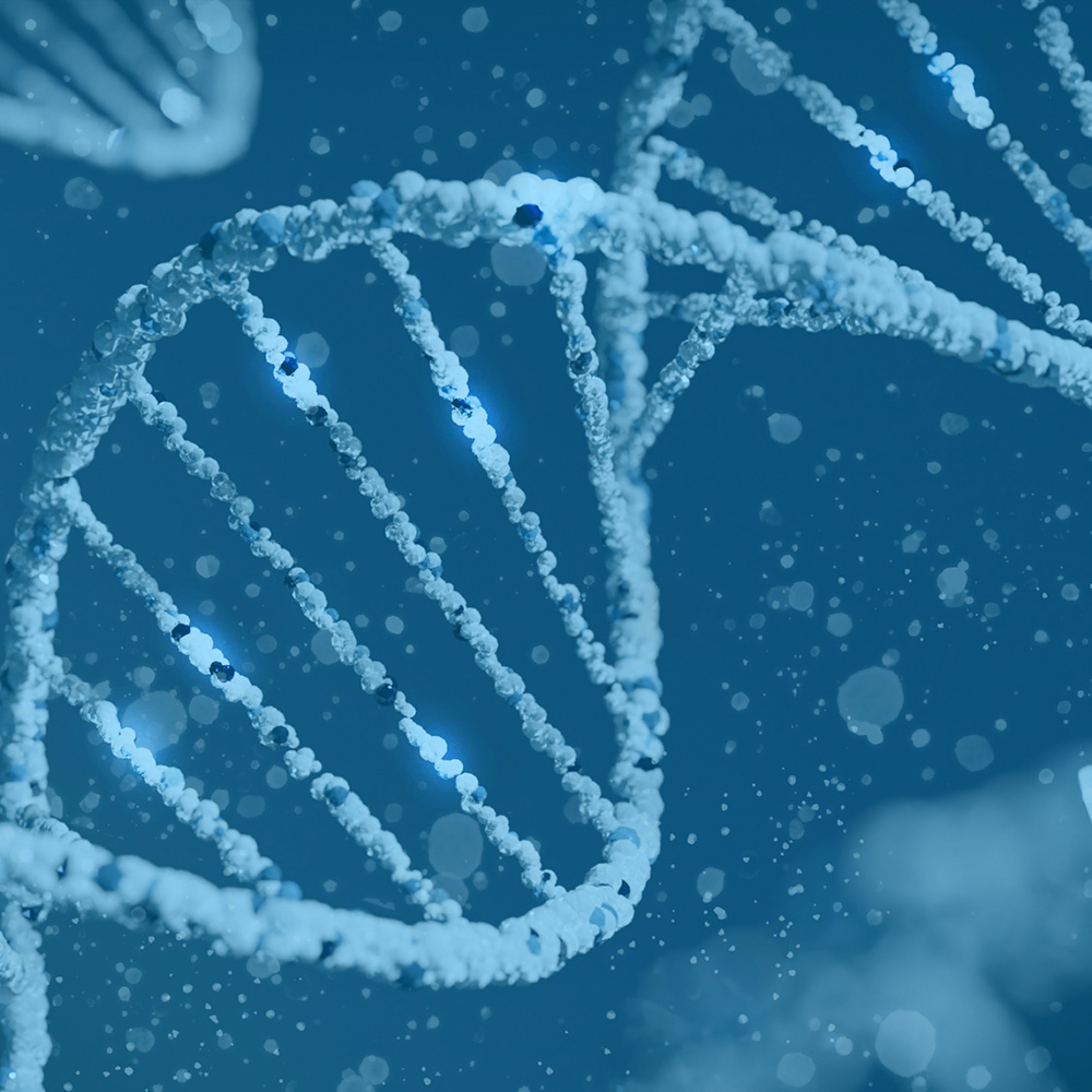 Genetics And Hormones RN Labs Education Portal genetics-and-hormones-rn-labs-education-portal